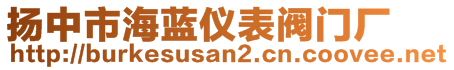 揚中市海藍儀表閥門廠