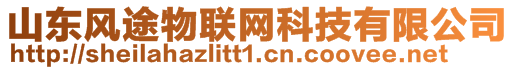山東風途物聯(lián)網(wǎng)科技有限公司