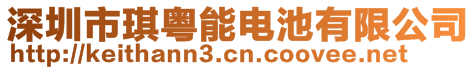 深圳市琪粤能电池有限公司