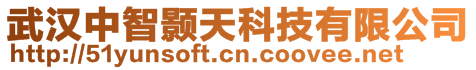 武漢中智顥天科技有限公司