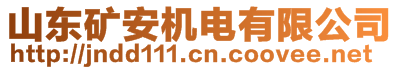 山東礦安機(jī)電有限公司