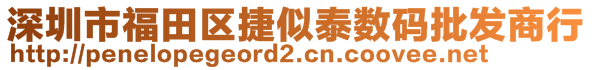 深圳市福田區(qū)捷似泰數(shù)碼批發(fā)商行