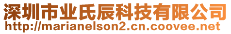 深圳市業(yè)氏辰科技有限公司