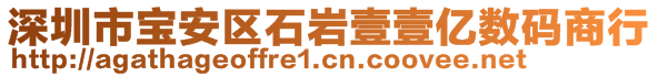 深圳市寶安區(qū)石巖壹壹億數(shù)碼商行