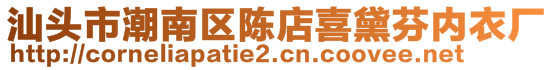 汕頭市潮南區(qū)陳店喜黛芬內(nèi)衣廠