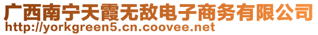 廣西南寧天霞無(wú)敵電子商務(wù)有限公司