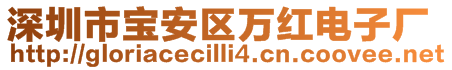 深圳市宝安区万红电子厂