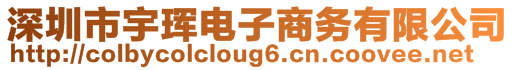 深圳市宇琿電子商務(wù)有限公司