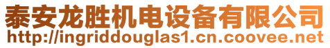 泰安龍勝機(jī)電設(shè)備有限公司