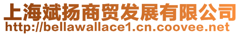 上海斌揚(yáng)商貿(mào)發(fā)展有限公司