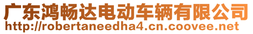 廣東鴻暢達(dá)電動(dòng)車輛有限公司