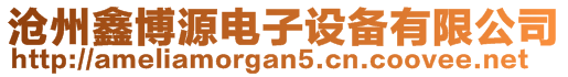 滄州鑫博源電子設(shè)備有限公司