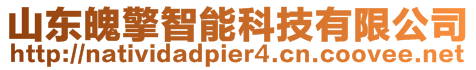 山東魄擎智能科技有限公司