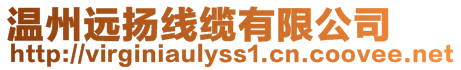 溫州遠(yuǎn)揚(yáng)線纜有限公司