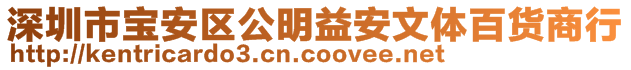 深圳市寶安區(qū)公明益安文體百貨商行