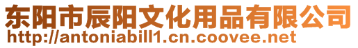 東陽市辰陽文化用品有限公司