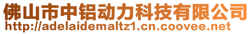 佛山市中鋁動力科技有限公司