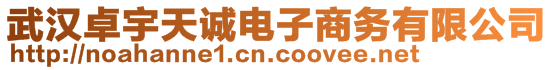武漢卓宇天誠電子商務(wù)有限公司
