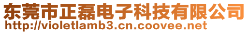 东莞市正磊电子科技有限公司