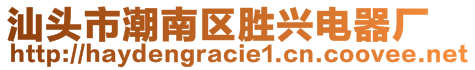 汕頭市潮南區(qū)勝興電器廠