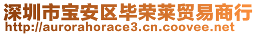 深圳市寶安區(qū)畢榮萊貿(mào)易商行