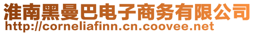 淮南黑曼巴電子商務(wù)有限公司