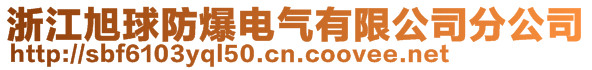 浙江旭球防爆电气有限公司分公司