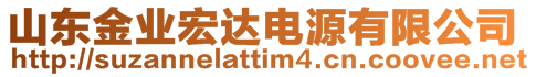 山東金業(yè)宏達電源有限公司