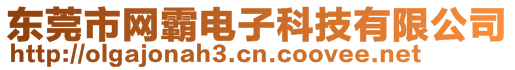 东莞市网霸电子科技有限公司