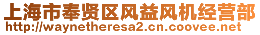 上海市奉賢區(qū)風益風機經(jīng)營部