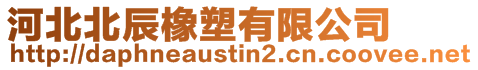 河北北辰橡塑有限公司