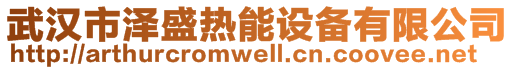 武汉市泽盛热能设备有限公司