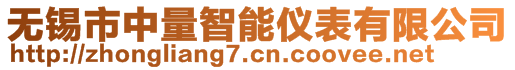 无锡市中量智能仪表有限公司