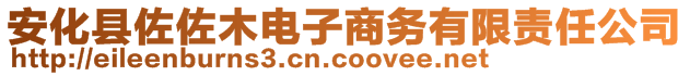 安化县佐佐木电子商务有限责任公司