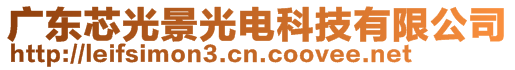 廣東芯光景光電科技有限公司