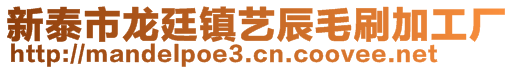 新泰市龍廷鎮(zhèn)藝辰毛刷加工廠