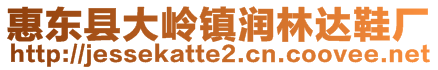 惠東縣大嶺鎮(zhèn)潤林達鞋廠