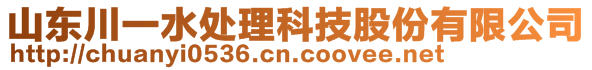 山东川一水处理科技股份有限公司