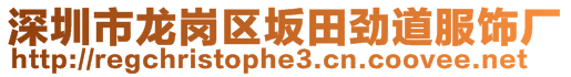 深圳市龍崗區(qū)坂田勁道服飾廠