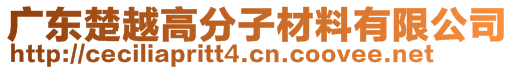 广东楚越高分子材料有限公司