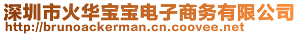 深圳市火华宝宝电子商务有限公司