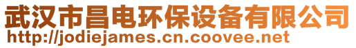 武漢市昌電環(huán)保設(shè)備有限公司