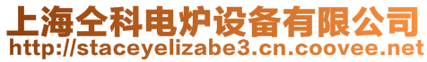 上海仝科電爐設備有限公司