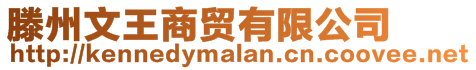 滕州文王商貿(mào)有限公司