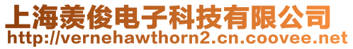 上海羨俊電子科技有限公司