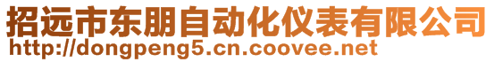 招遠(yuǎn)市東朋自動化儀表有限公司