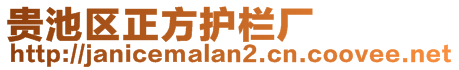 贵池区正方护栏厂