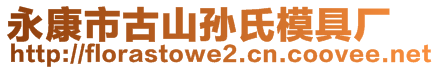 永康市古山孙氏模具厂