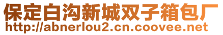 保定白溝新城雙子箱包廠