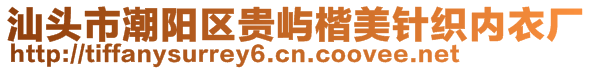 汕头市潮阳区贵屿楷美针织内衣厂